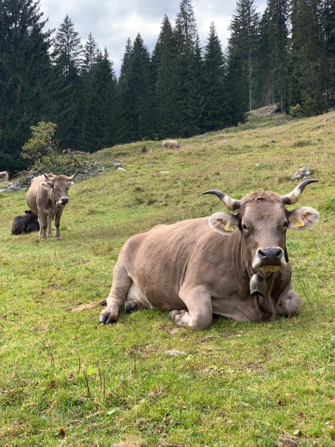 Fewo Gotschna Haus Bargis Klosters Bagian luar foto