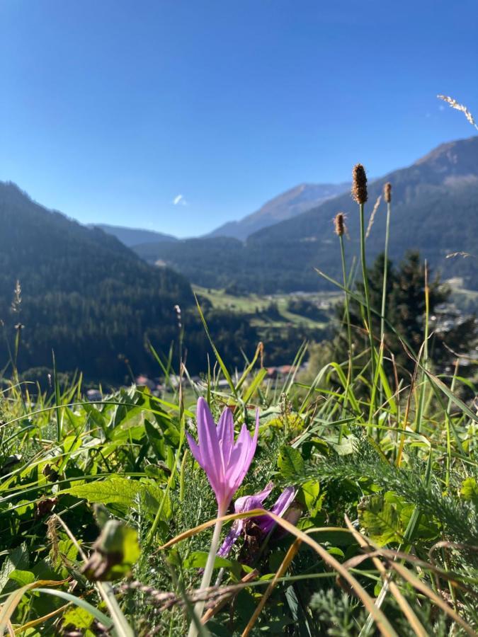 Fewo Gotschna Haus Bargis Klosters Bagian luar foto